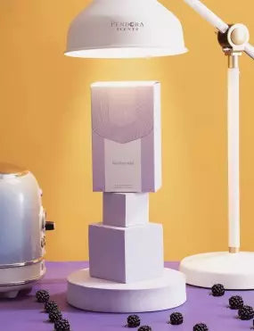 Pendora Scents Blackberry Wish EDP 100ml